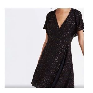 Madewell Dress with Metallic Dots